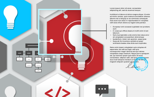 custom software development”